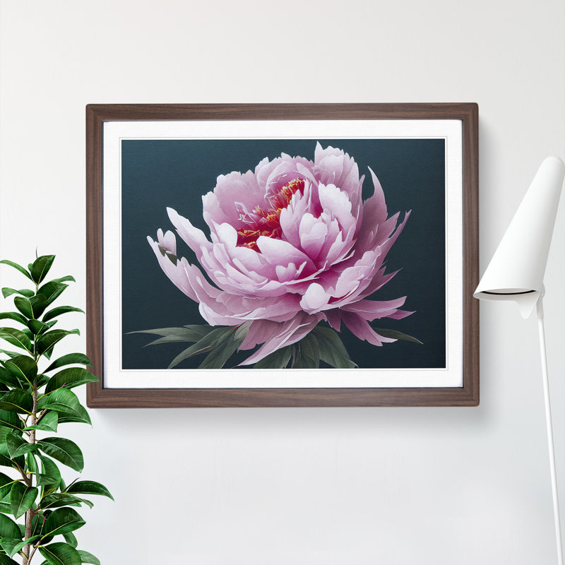 Marvellous Peony Flower - Framed Print, 25cm H x 34cm W x 2cm D, Walnut