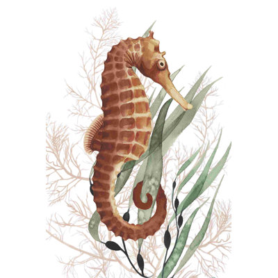 Seahorse Treasures I