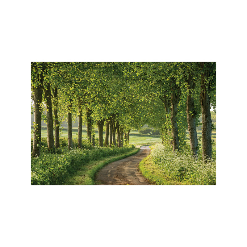 Adam Burton - Print on Canvas, 101.6 cm H x 66.04 cm W x 1.91 cm D, Wrapped Canvas
