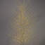 Birch Tree with Warm White LED Lights-63383336-63383335