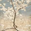 « cerise fleurs i »-impression sur toile tendue-1317230771