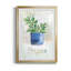 Origan en pot - Peinture sur toile encadrée-2069742867-2069742864