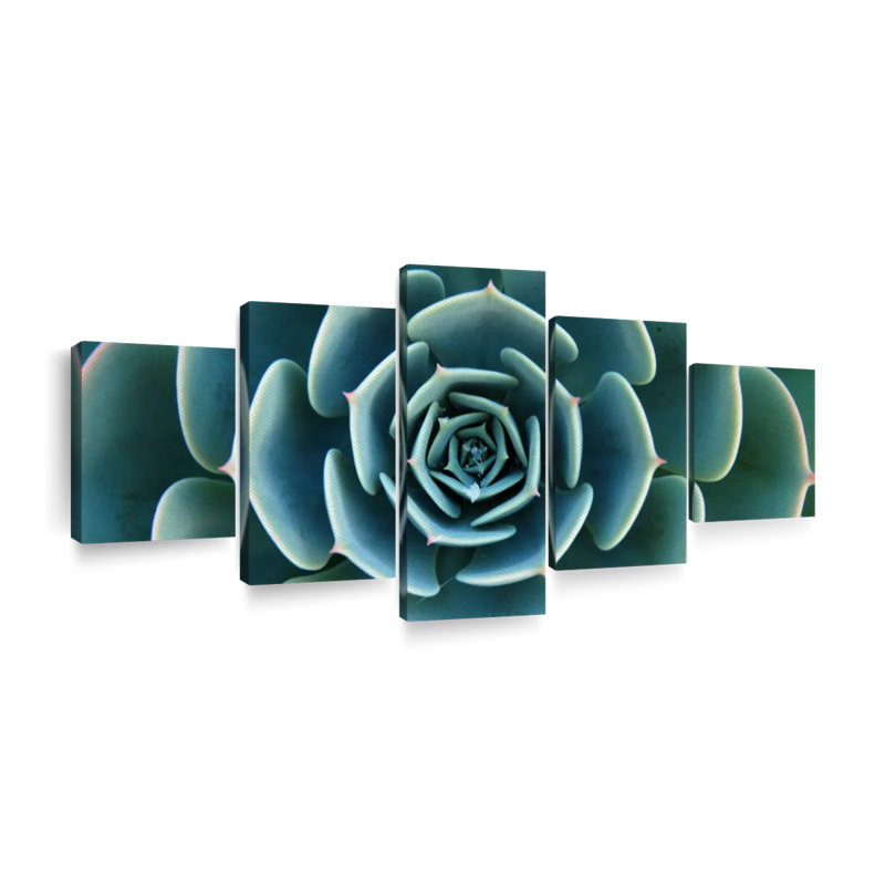 «Live Succulent», reproduction d'art sur toile, H 24 po x l 55 po x P 1,25 po