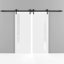 Porte de grange double robuste | Planum blanc peint avec verre givré 0660 | Ensemble de 13 cintres lourds pour rail | Portes intérieures solides-87389427