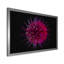 Impression sur toile mauve à motif floral cosmique-941905176-941905170