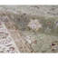 Walton Oriental Area Rug