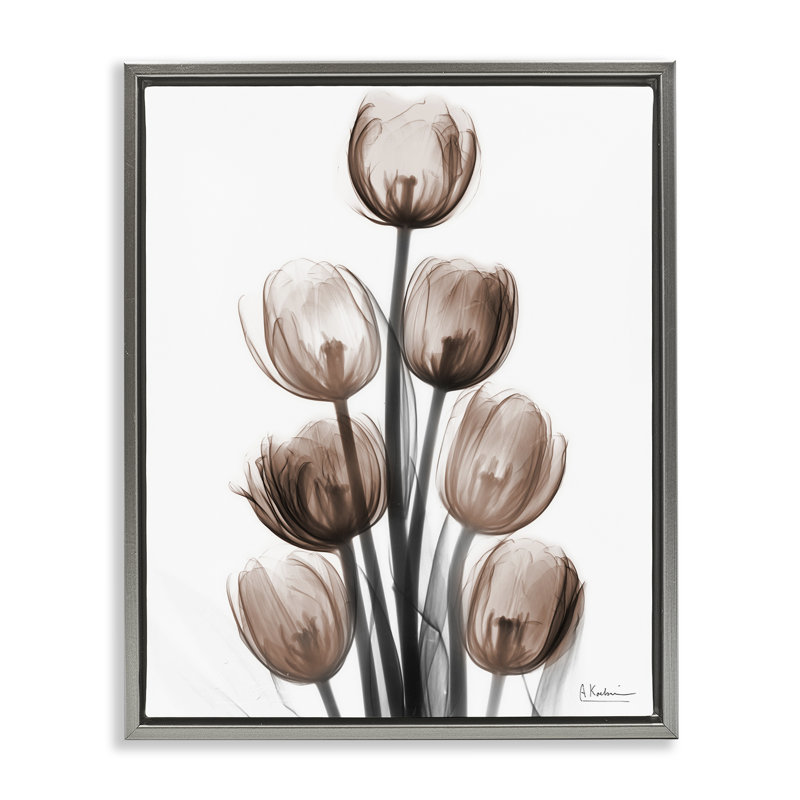 «Delightful Mocha Tulips», art mural encadré par Albert Koetsier, H 21 po x l 17 po, Cadre flottant gris lustré
