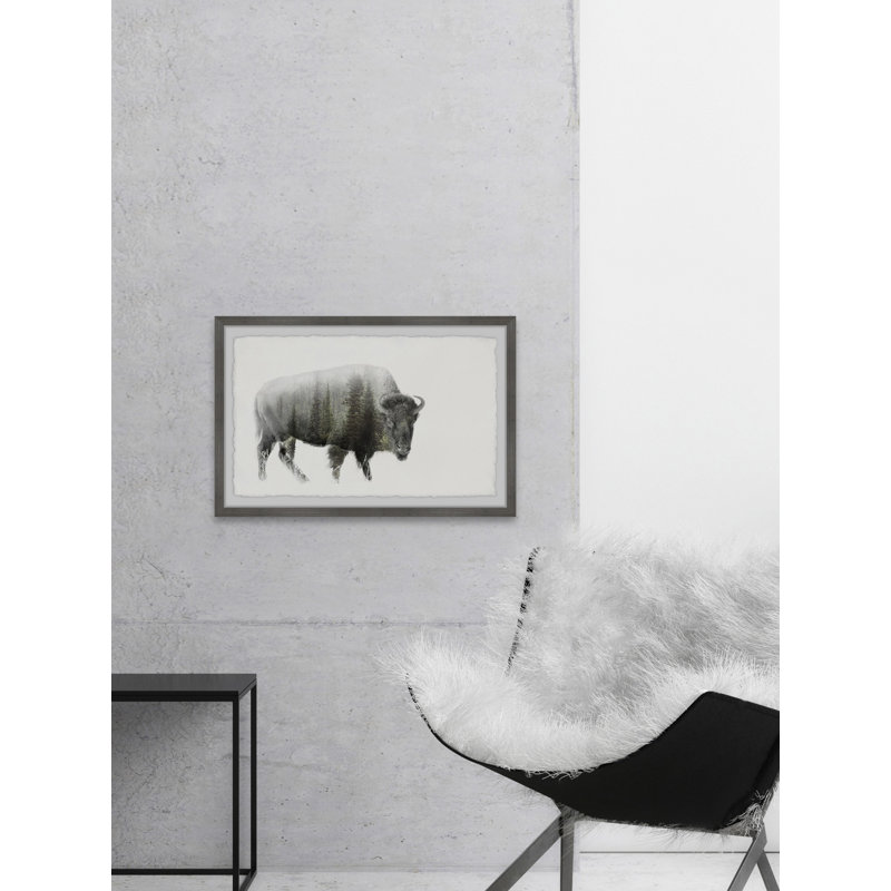 Angry Bison - Single Picture Frame Print, 20cm H x 30cm W x 3.81cm D
