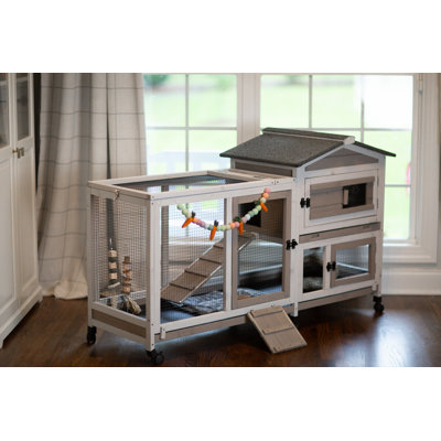 Guinea Pig Cage Story Bunny Cage Cat Wheel Buy Aivituvin Rabbit