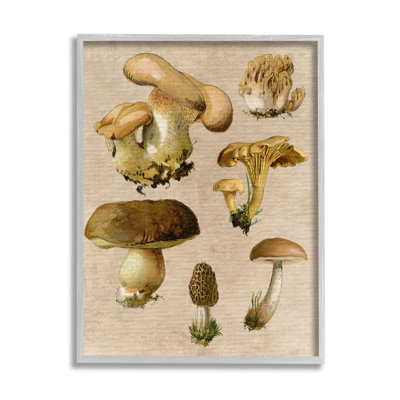 Bb-068 - Reproduction de champignon rétro encadrée sur bois par Lil 'Rue