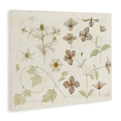 Nature, étude botanique sur toile, conception par Julie de Graag