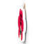 Gruia Wall Decor