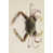 Black Floater Framed is unavailable