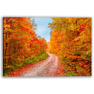 Serene Autumn Forest Path Wrapped Canvas Wall Art