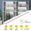 Iron Wallchiere-824932757