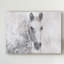 «Dapple Horse I» par Irena Orlov, impression sur toile-1169492914