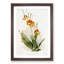 Magnolia Flowers Illustration Tab. 84 by Frederick Sander - Picture Frame Painting Print-55760423-55760424