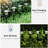 Low Voltage Solar Powered Integrated LED Pathway Light Pack