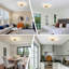 Acea 29.53'' 7 - Blade Dimmable LED Ceiling Fan with Remote Control and APP，indoor remote control ceiling fans with lights-93063557