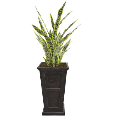 55'' Faux Agave Succulent in Fiberstone Planter