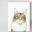 « cat portrait iv », peinture sur toile tendue-997917764