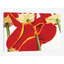 «Dutch II», impression sur toile-29483116-73560465-73551100