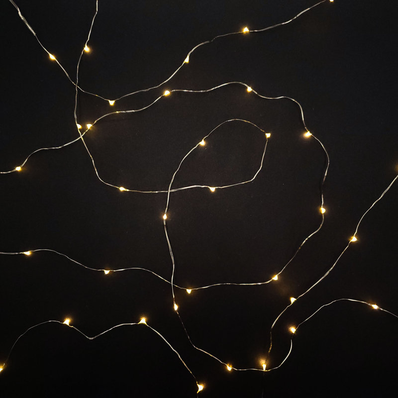  Battery Operated LED Fairy String Lights with Timer, Warm White