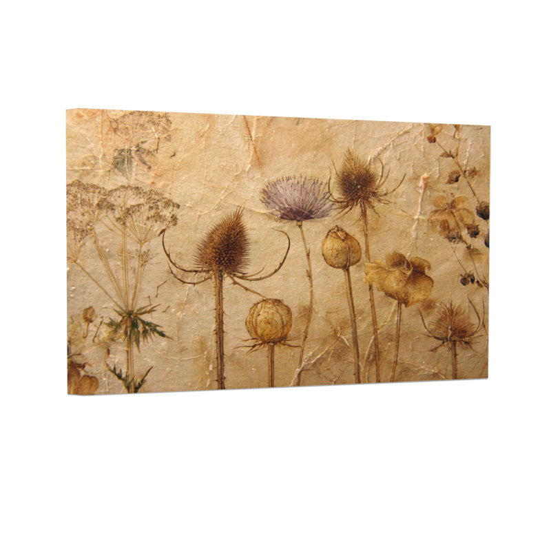 Plantes et fleurs fleurs séchées sur fond texturé, H 12 po x l 18 po