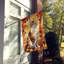 Chat en feuilles d'automne-112700514