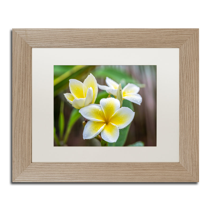 Plumeria in the Rain Acrylic Painting with Brown Frame