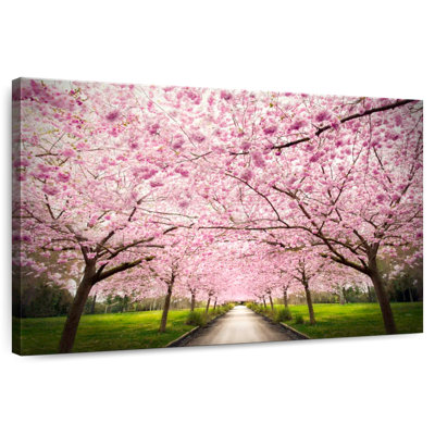 Walk Through Sakura Lane