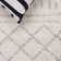 Develin Performance Chevron Rug