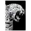 Leopard Roar Print by Oliver Gal-742875017-742875020