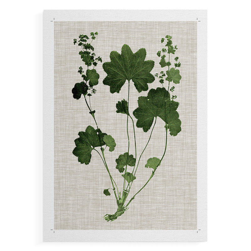 Forest Foliage on Linen IV - Reproduction de toile seulement - NON-CADRE, H 48 po x l 32 po