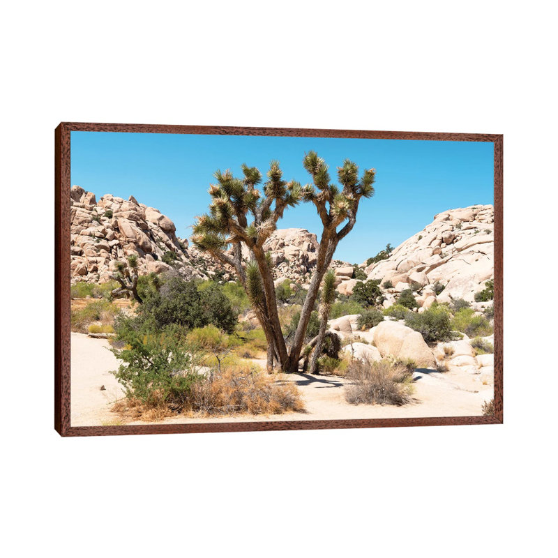 American West - Joshua Tree Desert by Philippe Hugonnard - Floater Frame Gallery-Wrapped Canvas Giclée on Canvas