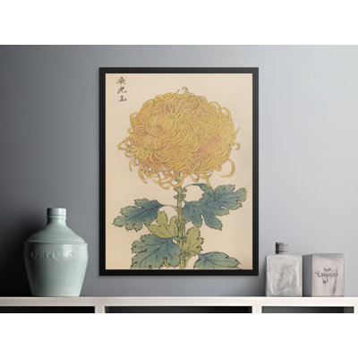 Amata No Frame Print