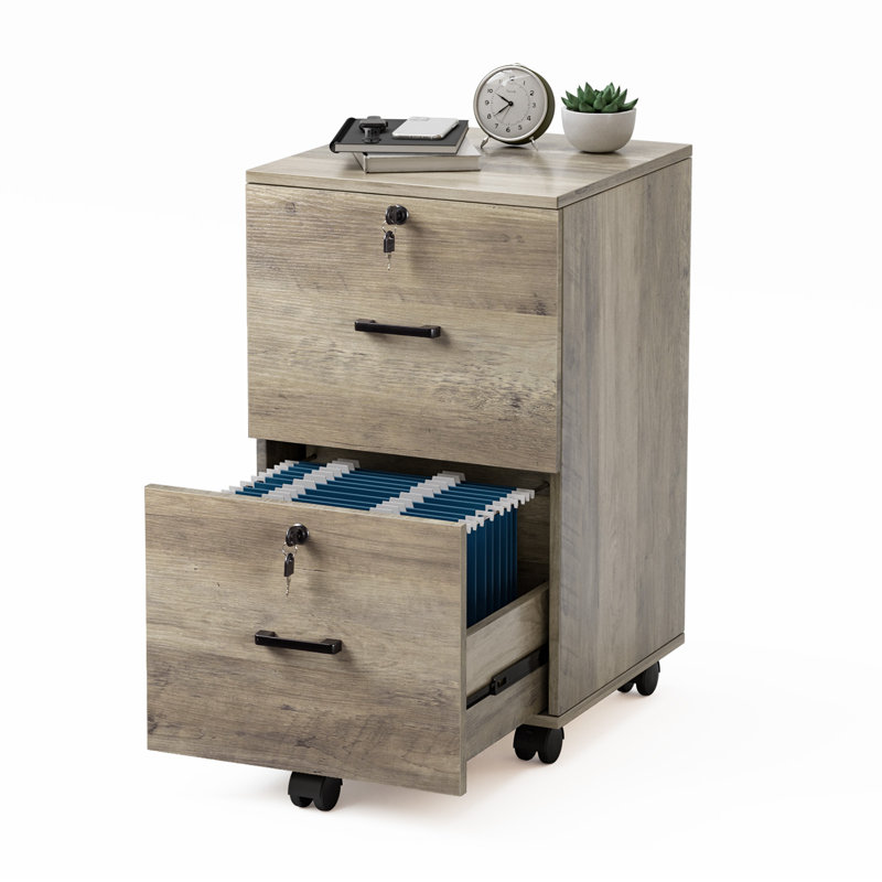 Brandice 15.7'' Wide 2 -Drawer Mobile File Cabinet