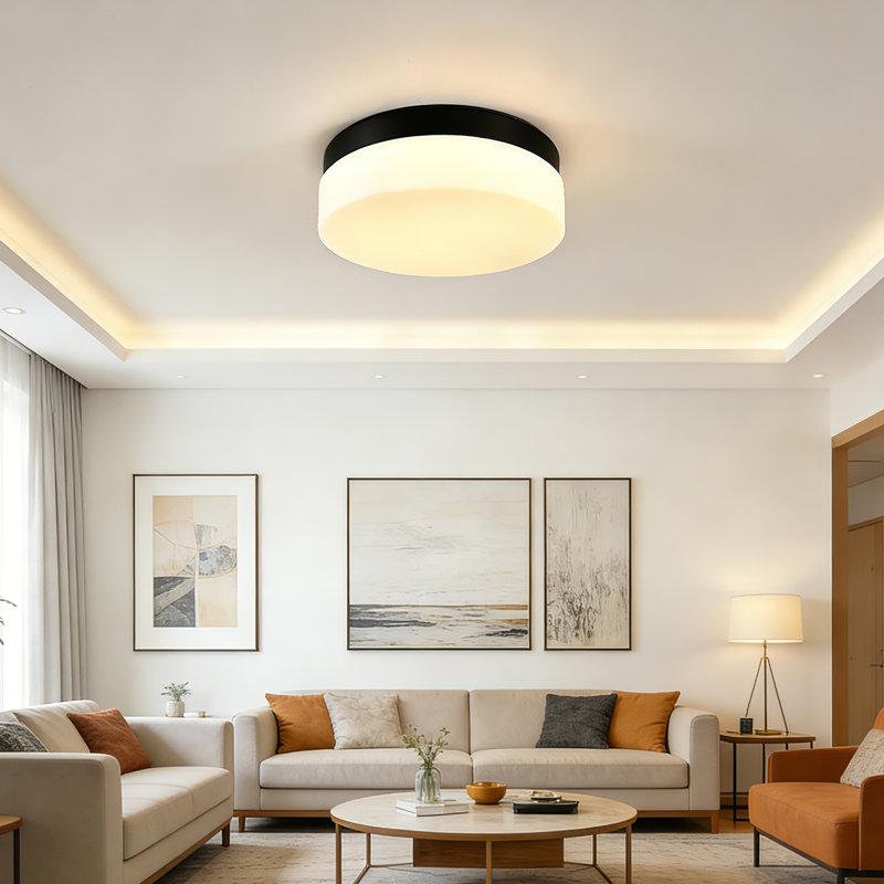 12in Round LED Lights Fixtures 5CCT 3000K-6500K Dimmable Flush Mount Ceiling Light Fixture, Full White, Matte Black