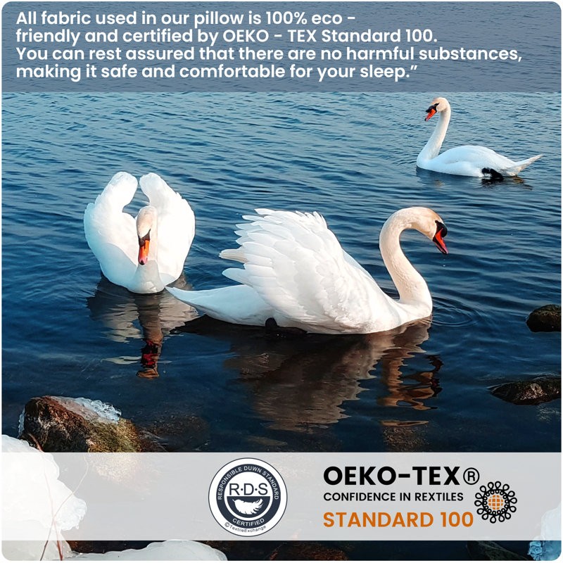 Canadian White Goose Down Pillow – 900FP, 800TC, (1 Pack) – Damaged Packaging, No Box. Caution., Standard