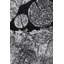 Halesowen Machine Woven Grey Indoor Rug-750585357