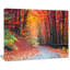 « Road In Beautiful Autumn Forest » - reproduction de photo-1524240492-1510207584-1561591361