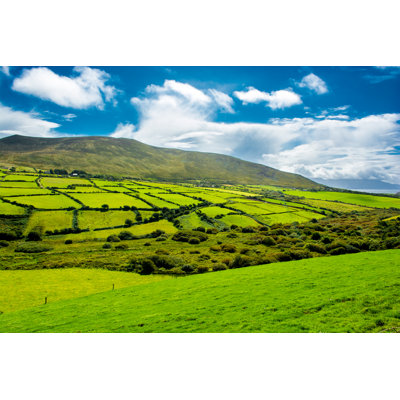 Pastures In Ireland 1 Piece Wrapped Canvas Wall Art