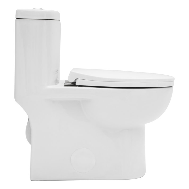 16" Comfort Height Dual-Flush Toilet Modern Elongated One-Piece Toilet for Floor Mounted Glazed Surface(Soft Close Seat Included)