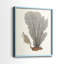 Knorr Shells & Coral III - reproduction encadrée de qualité supérieure - prête à être accrochée - aucun clou requis - aucun clou requis-749233987-749233984