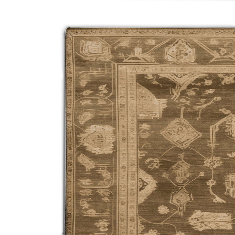 Tapis intérieur et extérieur brun Overdyed, Rectangle 4pi x 6 pi