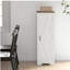 Armoire de rangement Farmhouse avec tablette réglable, armoire d'appoint simple pour porte de grange pour salon, armoire de plancher