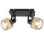 Neri directionnel et projecteur