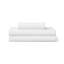 Peri home  Scallop-114554745