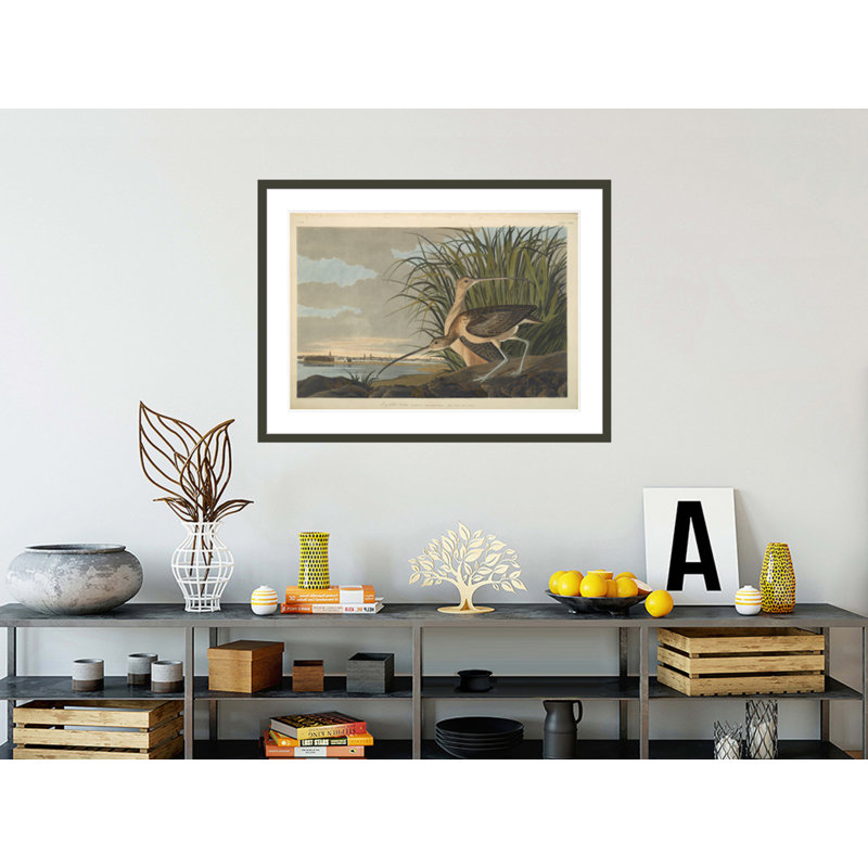 Courlis à long bec des oiseaux d'Amérique de 1827 à 1838 par John James Audubon, impression giclée sur cadre
