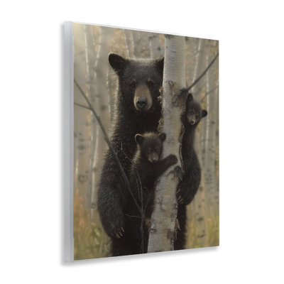 Plaque murale «Mama Bear Be derrière Tree», conception par Collin Bogle